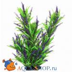     48 PRIME PR-02965