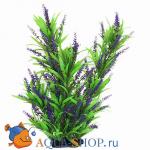     30  PRIME PR-02958