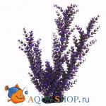     30  PRIME PR-03191