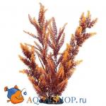     30  PRIME PR-03283