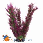     30  PRIME PR-02927