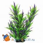     60 PRIME PR-02972