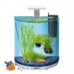  Tetra AquaArt Explorer Line LED Gold 30, 