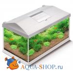  Aquael LEDDY SET  60 (54 )    1*16W