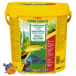  Sera   CICHLID GREEN XL 10