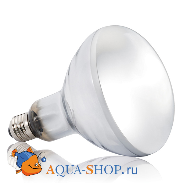  Hagen EXO TERRA Solar Glo 80  