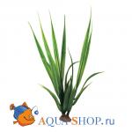 Акорус. Растение пластиковое ArtUniq, 6x6x20 см