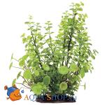 Кардамин. Растение пластиковое ArtUniq, 35 см
