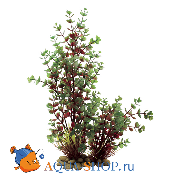 Бакопа красно-зеленая. Растение пластиковое ArtUniq, 30 см