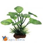 Анубиас. Набор искусственных растений ArtUniq, 10 см, 6 шт