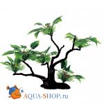 Буцефаландры широколистные. Композиция из искусственных растений на бонсае ArtUniq, 22x16x22 см