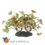 Щитолистник красно-зеленый. Растение пластиковое ArtUniq, 10-12 см