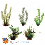 , , , , .    ArtUniq, 15-35 , 5 