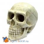 Большой череп. Декоративная композиция ArtUniq, 20x12,7x15,8 см
