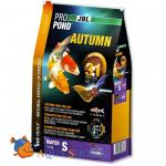     JBL Autumn S ,         , 1,5  (3 )