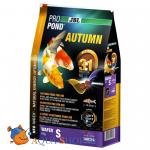     JBL Autumn S ,         , 6,0  (12 )