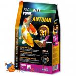     JBL Autumn M ,         , 3,0  (6 )