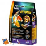     JBL Autumn S ,         , 3,0  (6 )
