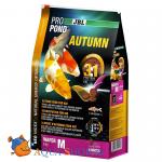     JBL Autumn M ,         , 6,0  (12 )