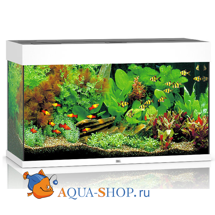  JUWEL Rio 125 LED  125 