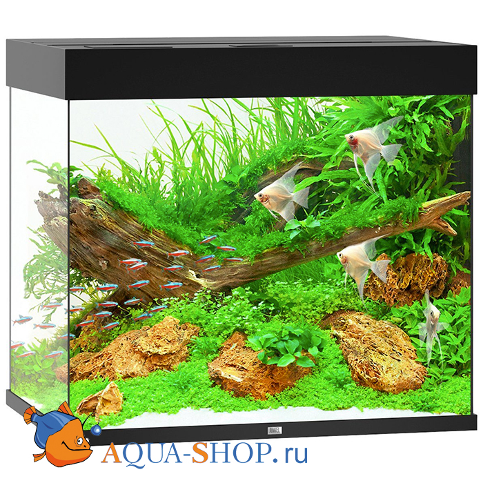  JUWEL Lido 200 LED 