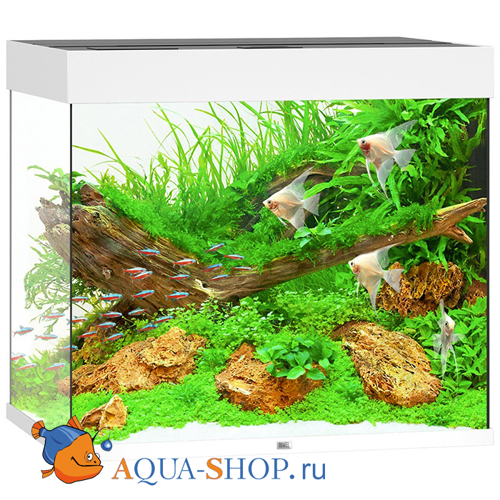  JUWEL Lido 200 LED 
