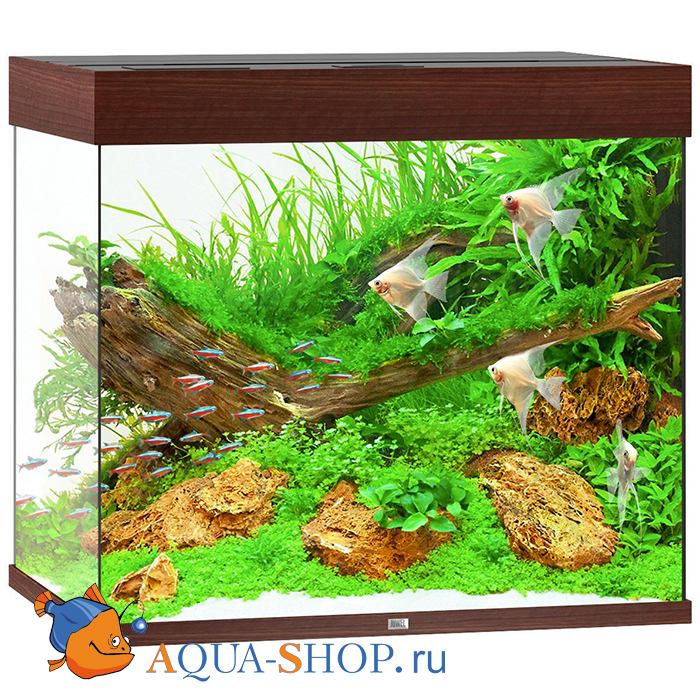 Aqua Shop Ru Аквариумный Интернет Магазин