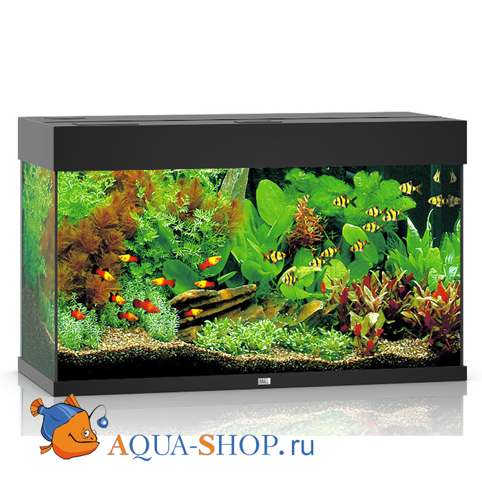 Aqua Shop Ru Аквариумный Интернет Магазин Aqua Shop Ru Аквариумный Интернет Магазин