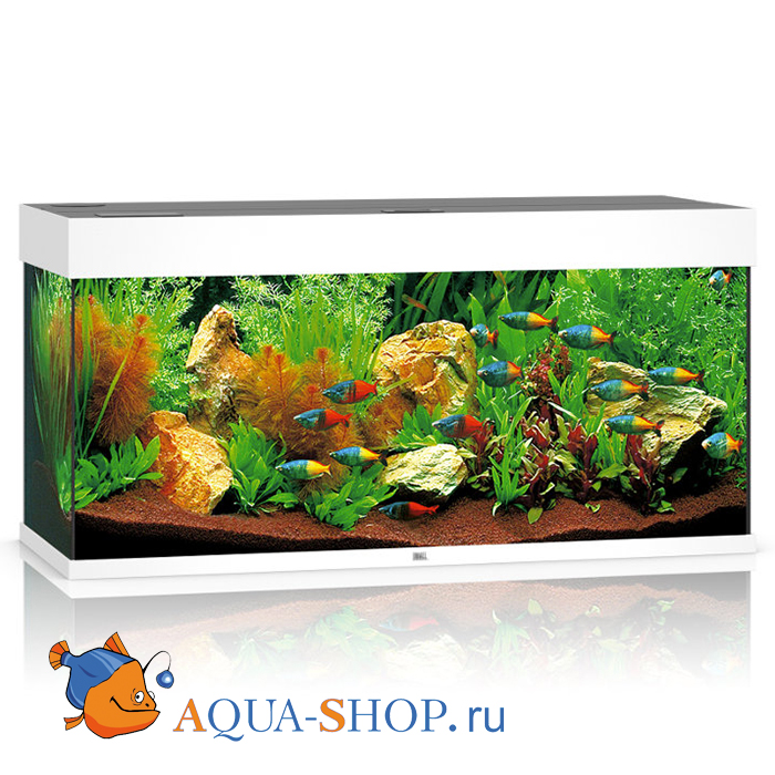 Aqua Shop Ru Аквариумный Интернет Магазин Aqua Shop Ru Аквариумный Интернет Магазин