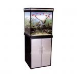    Anubias D-550F -