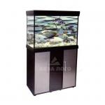    Anubias D-650F -