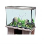  AQUATLANTIS EVASION 127X50X85  501