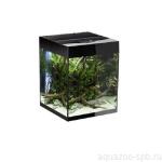  Aquael GLOSSY CUBE 50  135