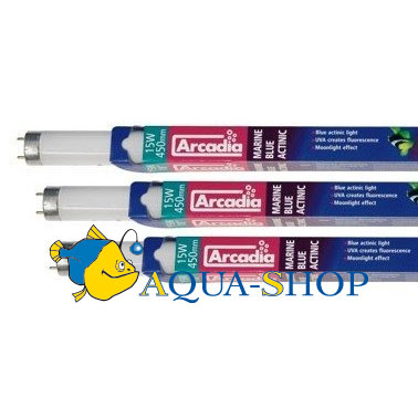 Arcadia Marine Blue Act,8 30"