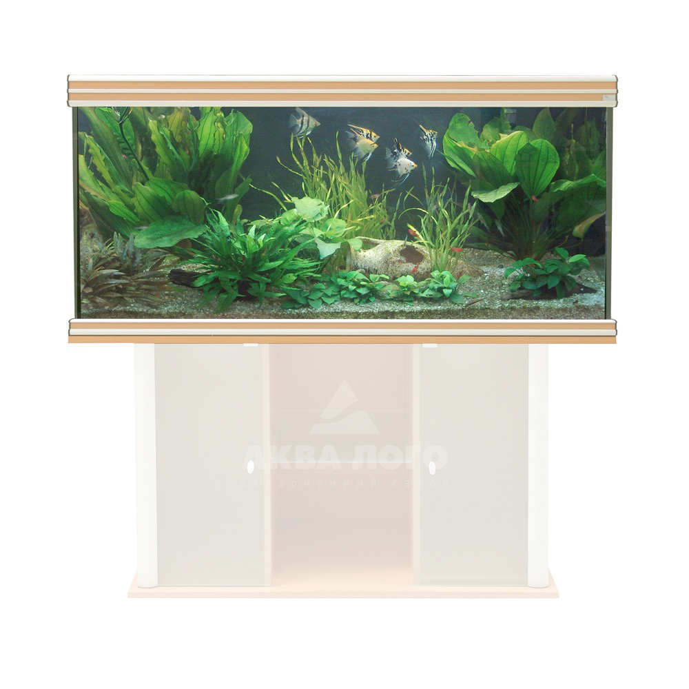  AQUATLANTIS EVASION 150X60X75   620