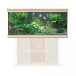  AQUATLANTIS EVASION 150X60X75   620