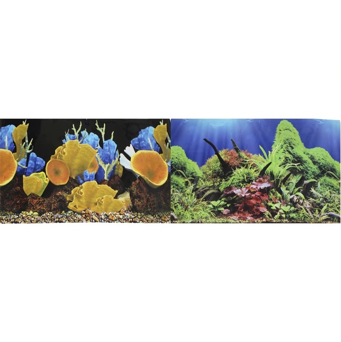 Juwel – лучшие аквариумы и товары для аквариумов