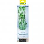 Растение пластиковое Tetra DecoArt Plant L Элодея  30 см