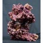   Real Reef Rock (.) MLive rocks Real Reef Rock