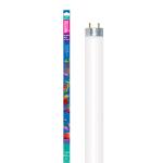  Arcadia Marine White8 18 60 