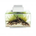  Fluval EDGE 2.0  23