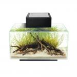  Fluval EDGE 2.0  23