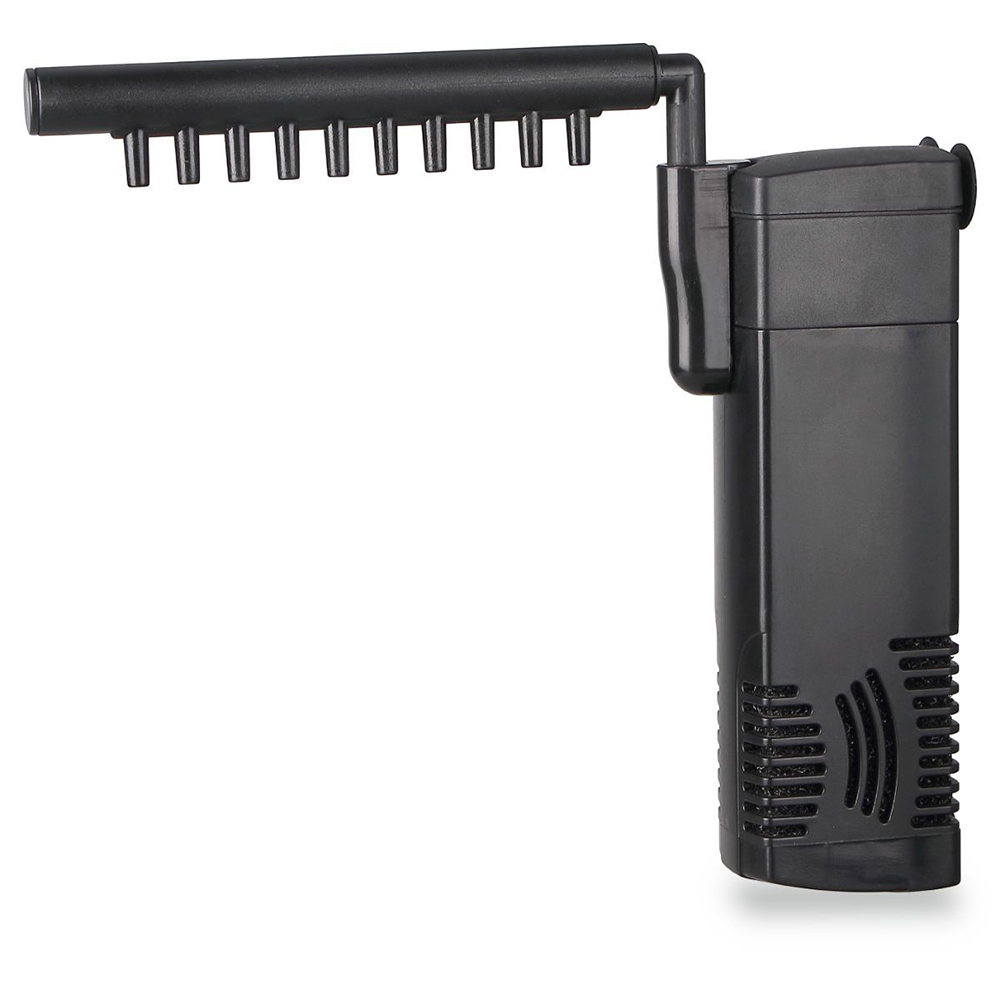   Barbus  300/  3
