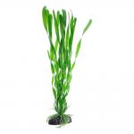 Растение пластиковое Barbus Валиснерия спиральная 20см