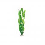 Валиснерия широколистная.  Растение пластиковое Barbus, 30см