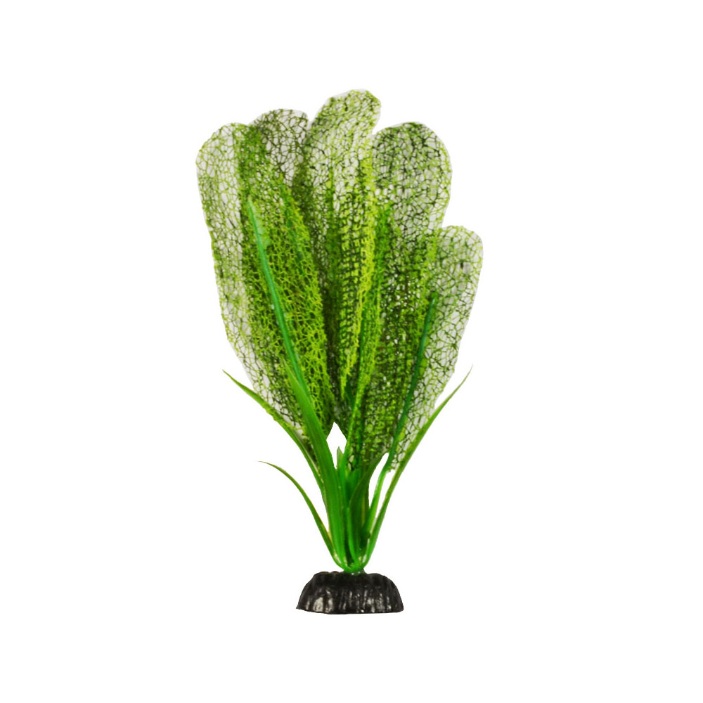 Апоногетон мадагаскарский зеленый. Растение шелковое Barbus, 30см