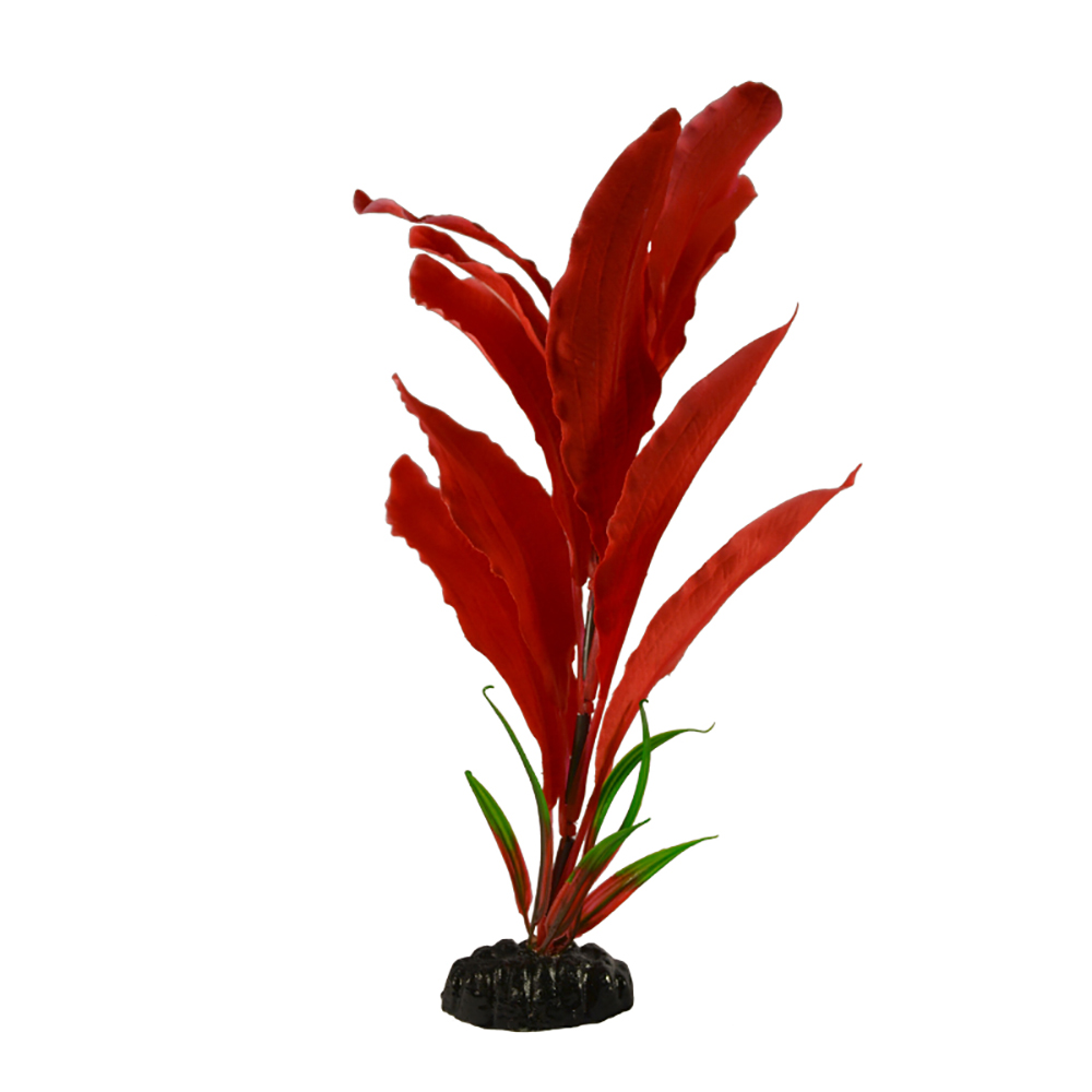 Апоногетон мадагаскарский красный. Растение шелковое Barbus, 20см