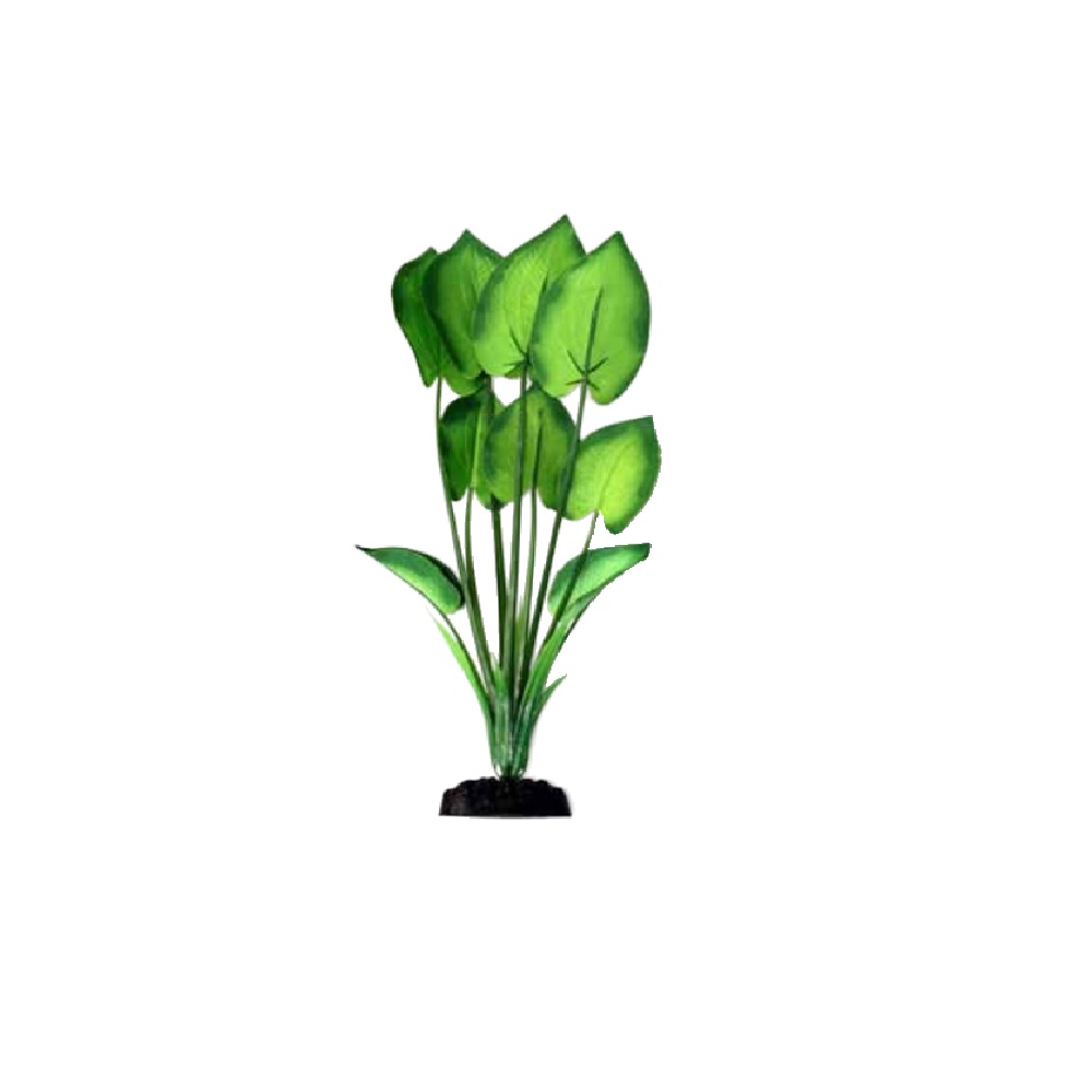 Эхинодорус. Растение шелковое Barbus, 10см