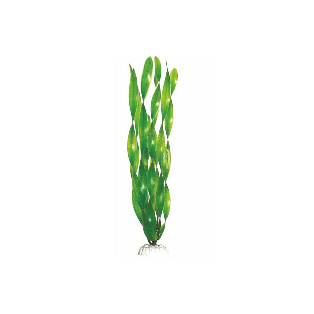 Валиснерия широколистная. Растение пластиковое Barbus, 50см