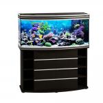    Biodesign ALTUM PANORAMIC 300 